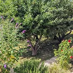 Des Lilas Stenay