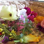 Des Lilas ヴィラ