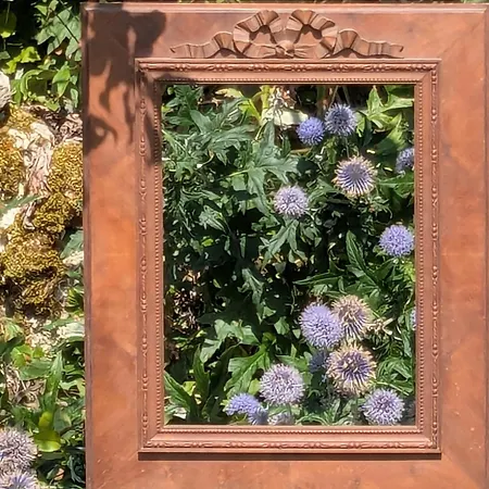Des Lilas Villa *