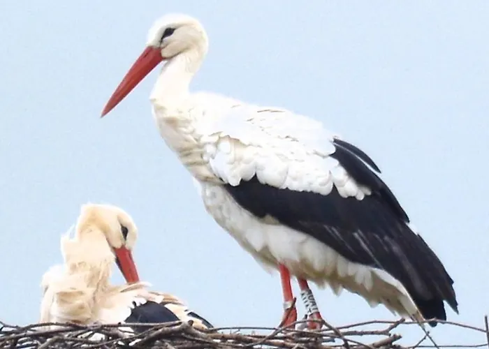 Des Lilas ヴィラ *